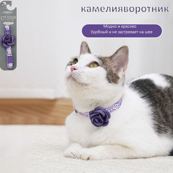 воротник для кошки воротник для собак декоративное колье - купить с ...