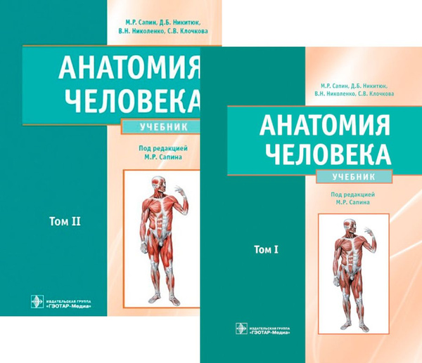 Характеристики Анатомия человека: Учебник. В 2 т. (комплект) | Никитюк ...