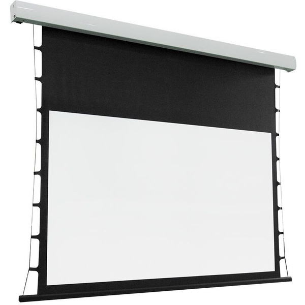 Videovox EC2 / Motorized projection screen SoundMax4K 150"(3321*1867 ...
