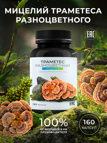 Траметес разноцветный мицелий 160 капсул Grib Grow - купить с доставкой ...