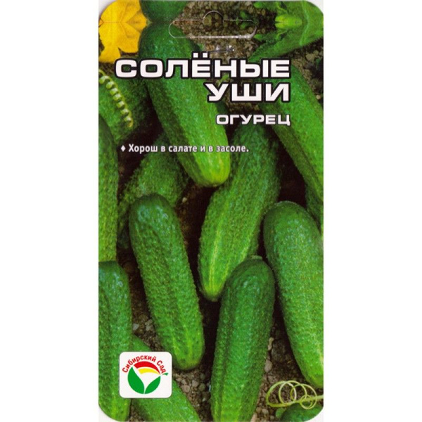 Огурцы соленые уши фото