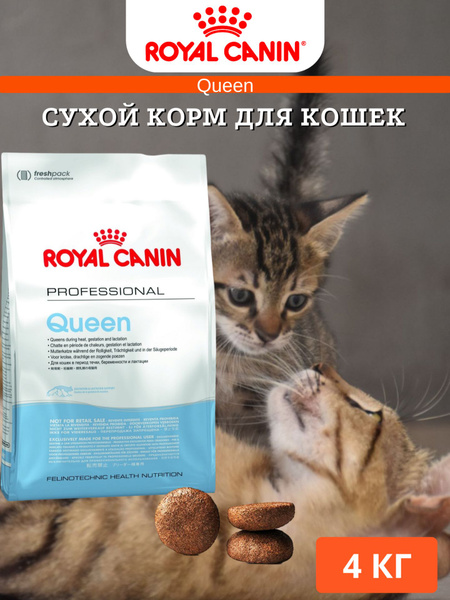 Сухой корм для кошек Royal Canin Queen 4кг - купить с доставкой по ...
