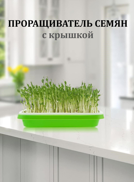 Проращиватель микрозелени и семян с крышкой - купить с доставкой по ...