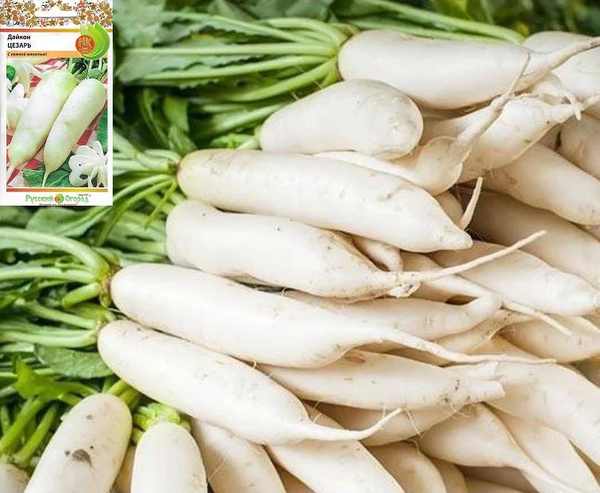 Дайкон НК-Русский огород Овощи РО_белый - купить по выгодным ценам в ...