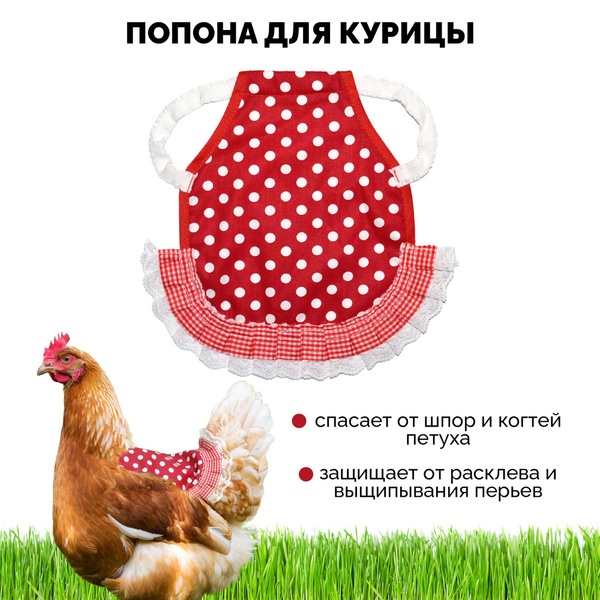 Попона для кур - купить с доставкой по выгодным ценам в интернет ...