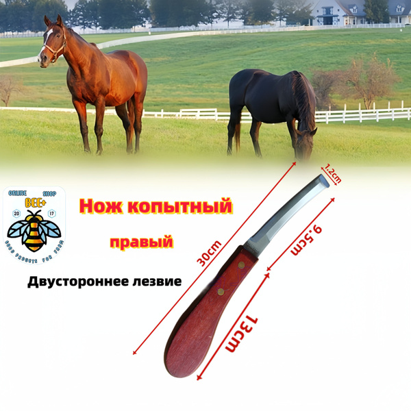 Нож копытный (CHARMING GOODS) Двустороннее лезвие купить на OZON по ...