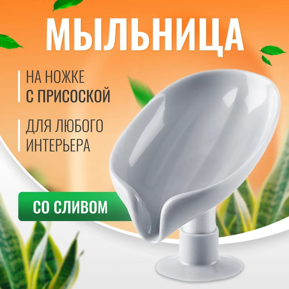 Мыльница