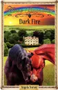 Dark Fire - Angela Dorsey