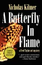 A Butterfly in Flame LP - Nicholas Kilmer