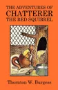 The Adventures of Chatterer the Red Squirrel - Thornton W. Burgess
