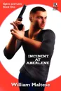 Incident at Aberlene. Spies and Lies, Book One / Incident at Brimzinsky: Spies and Lies, Book Two (Wildside Mystery Double #3) - William Maltese