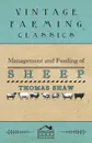 Management and Feeding of Sheep - Thomas Shaw