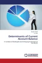 Determinants of Current Account Balance - Shafi khuram, Hua Liu