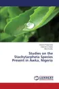 Studies on the Stachytarpheta Species Present in Awka, Nigeria - Iroka Chisom Finian, Okeke Clement U, Izundu Alex I