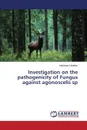 Investigation on the pathogenicity of Fungus  against agonoscelis sp - Ibrahim Abdelsami