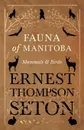 Fauna of Manitoba - Mammals and Birds - Ernest Thompson Seton