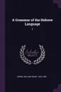A Grammar of the Hebrew Language. 2 - William Henry Green