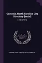Gastonia, North Carolina City Directory .serial.. 3 (1918/1919) - Piedmont Directory Co, Ernest H Miller