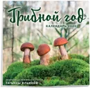 Грибной год. Календарь настенный на 2020 год (300х300 мм) - Ильина Т.А.