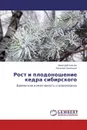 Рост и плодоношение кедра сибирского - Дмитрий Савчук, Евгений Семенкин