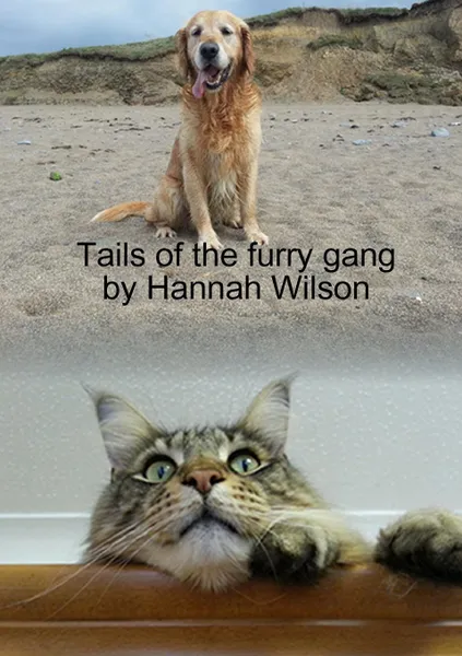 Обложка книги Tails of the furry gang, Hannah Wilson