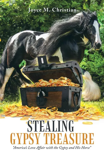 Обложка книги Stealing Gypsy Treasure. 