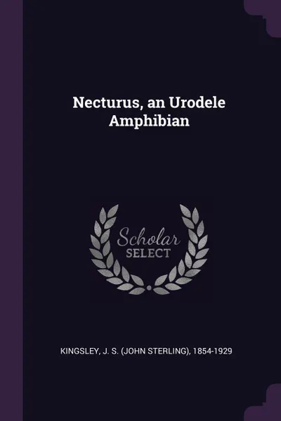 Обложка книги Necturus, an Urodele Amphibian, J S. 1854-1929 Kingsley