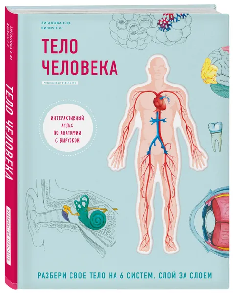 Обложка книги Тело человека. Интерактивный атлас по анатомии с вырубкой. Разбери свое тело на 6 систем. Слой за слоем, Билич Габриэль Лазаревич, Зигалова Елена Юрьевна