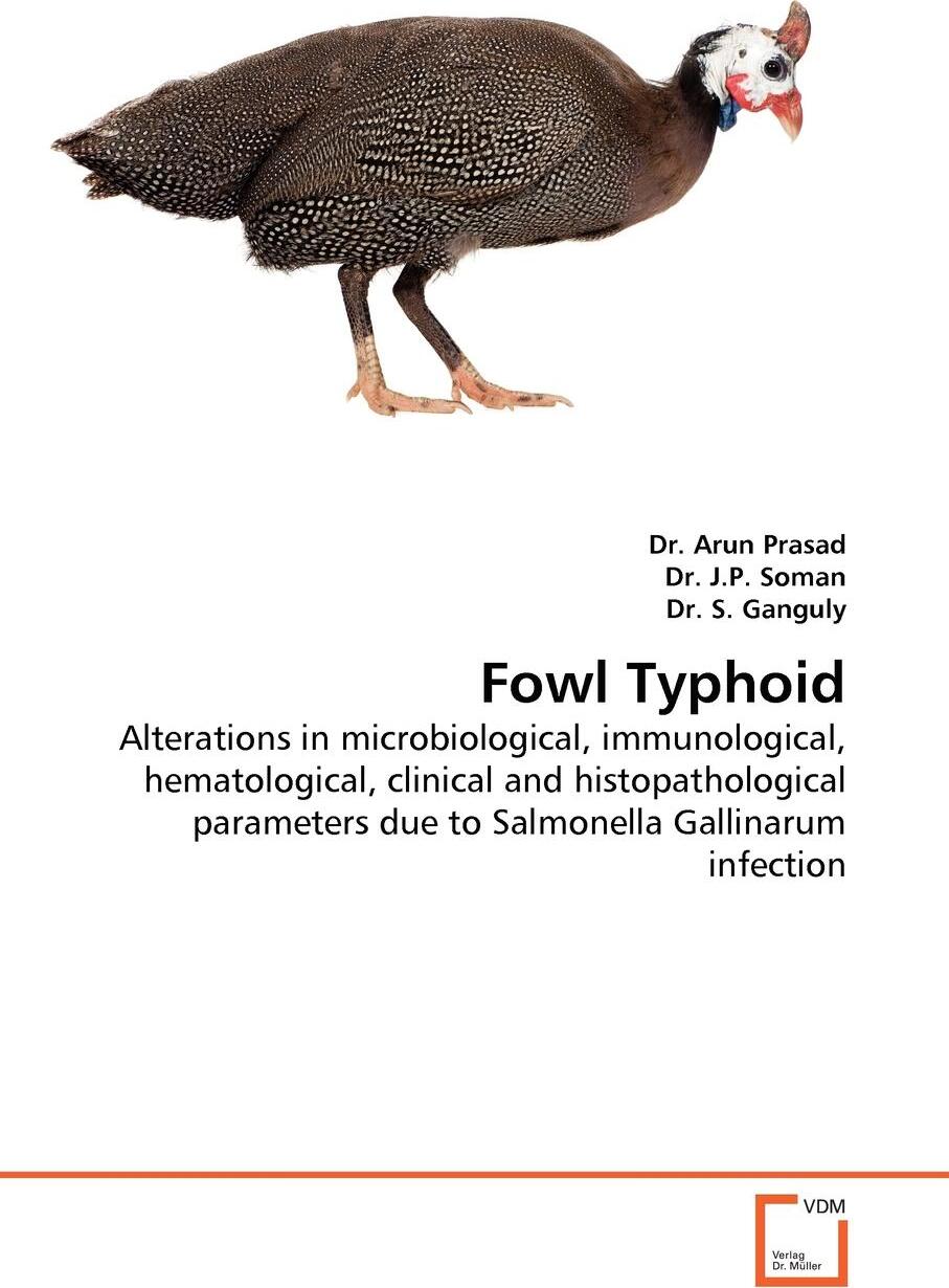 фото Fowl Typhoid