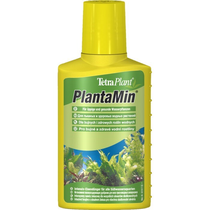 Интернет Магазин Planta Ru Отзывы