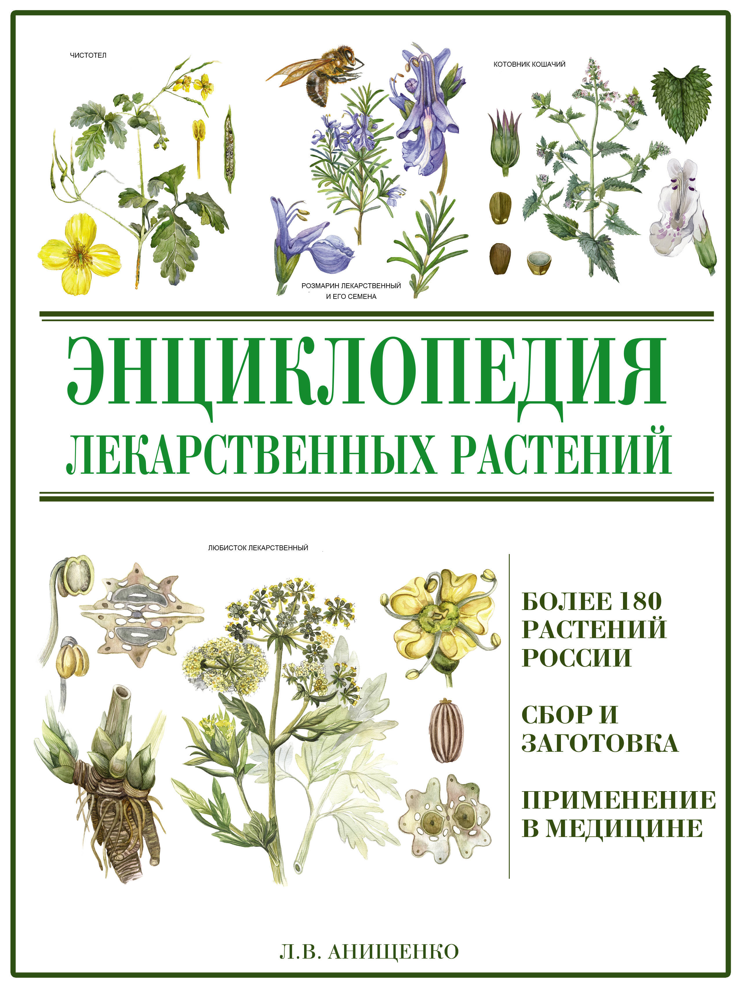 Лавренов современная энциклопедия лекарственных растений