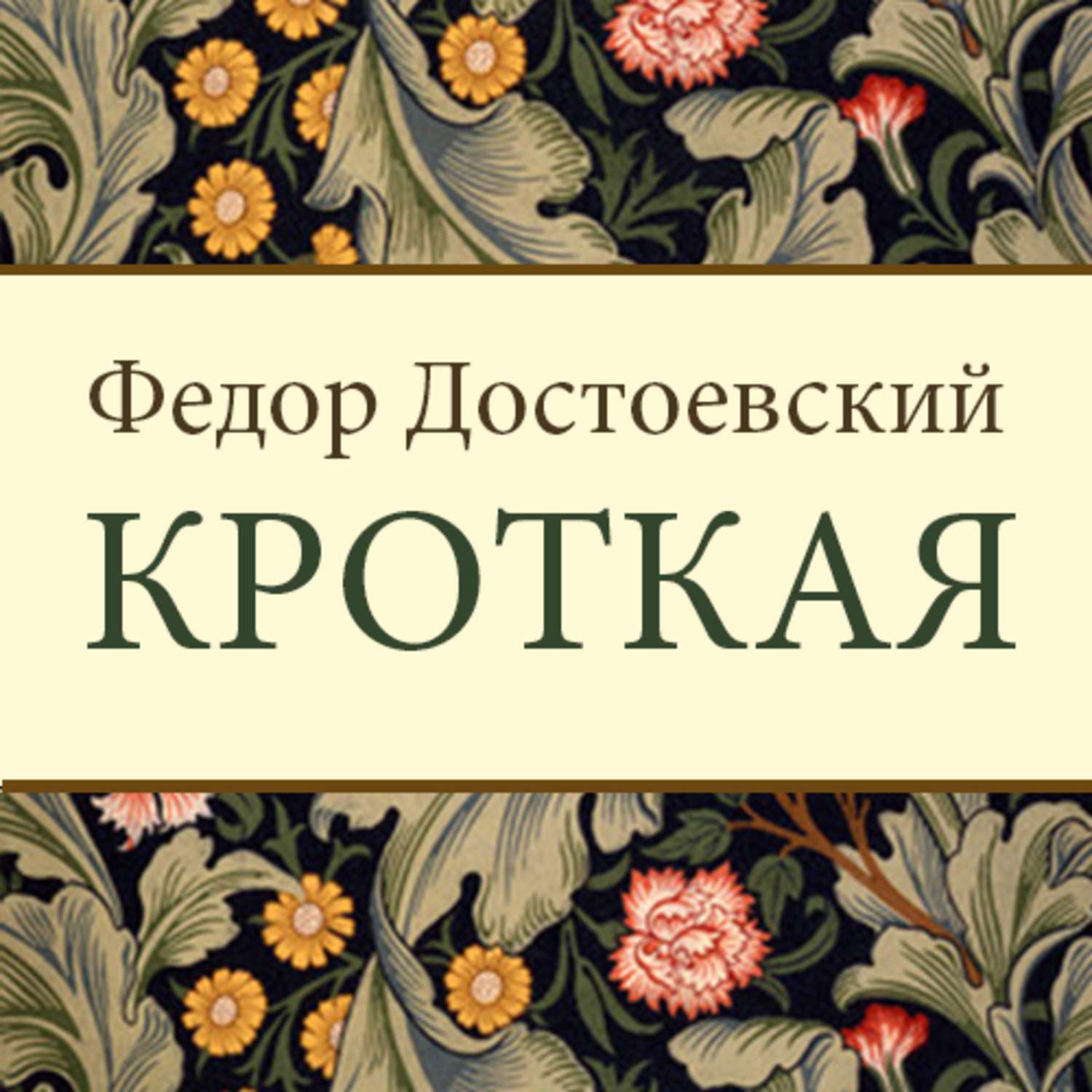 Кроткая достоевский. Кроткая Федор Достоевский. «Кроткая» Достоевсикй. Достоевский Кроткая книга.