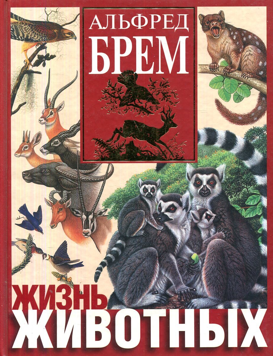 Жизнь жи. Брем а.э. "жизнь животных". Книга Брэма жизнь животных.