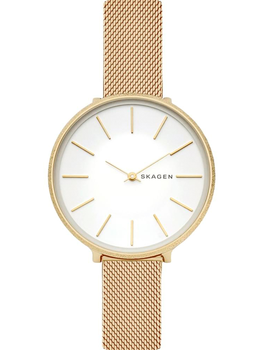 Наручные часы Skagen skw2561