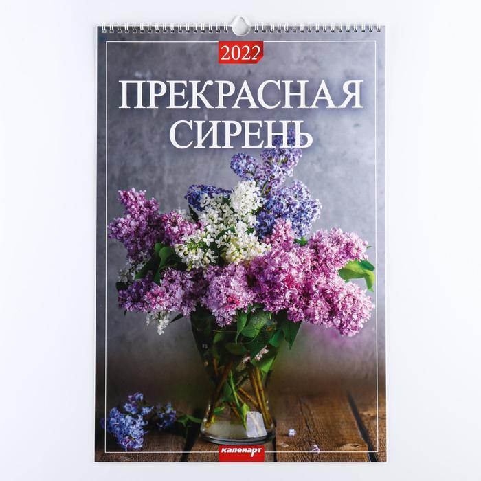 Новые Альбомы 2022 Года Новые Альбомы 2022 Года