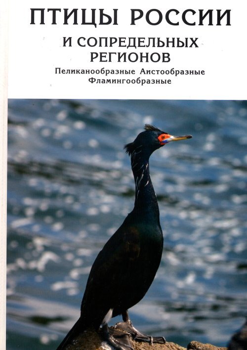 Птицы России и сопредельных регионов. Пеликанообразные. Аистообразные. Фламингообразные