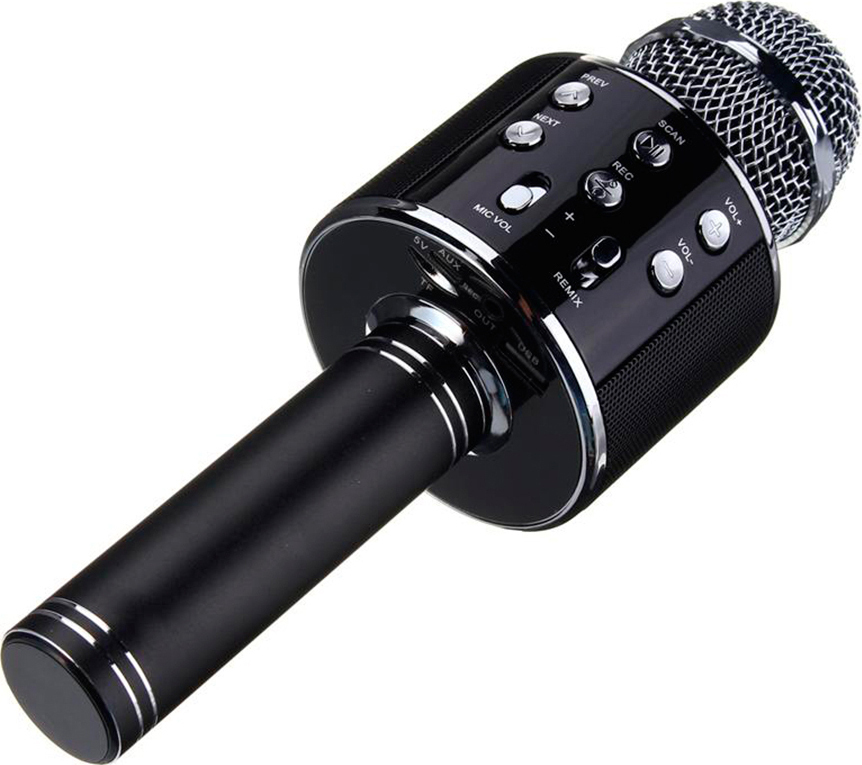 Черный микрофон купить. Микрофон WS 858 черный. Wster WS-858 черный. Микрофон колонка WS 858. Беспроводной микрофон-караоке WS-858 (черный).