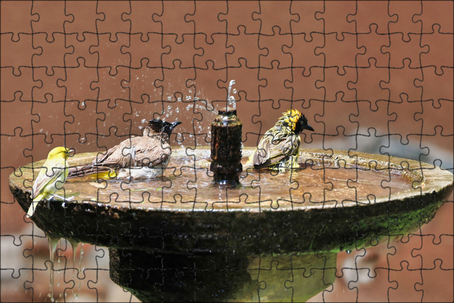 Bird bath. Птичья ванна. Пылевые ванны для птиц. Sundials-Bird-Baths
