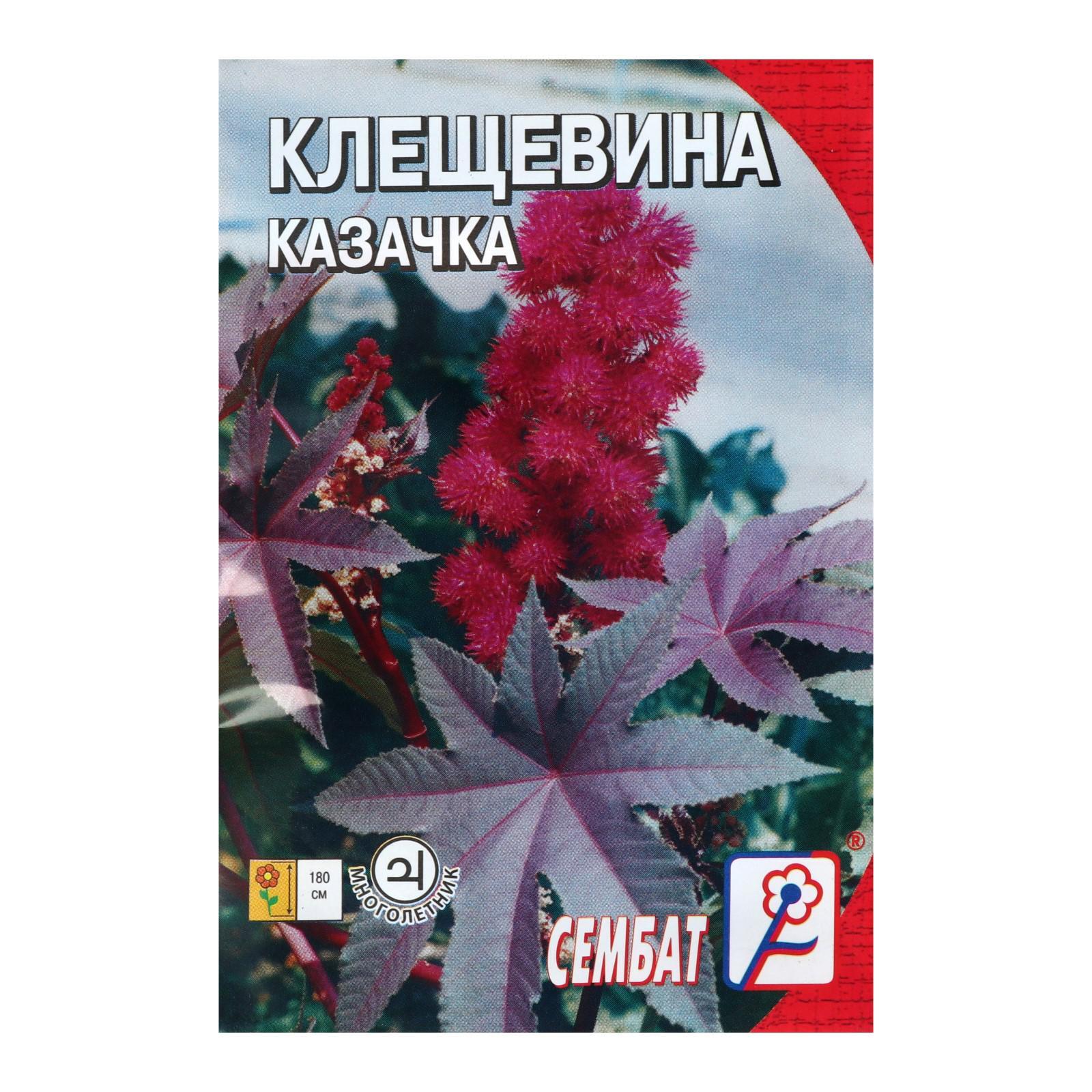 Клещевина казачка Сембат