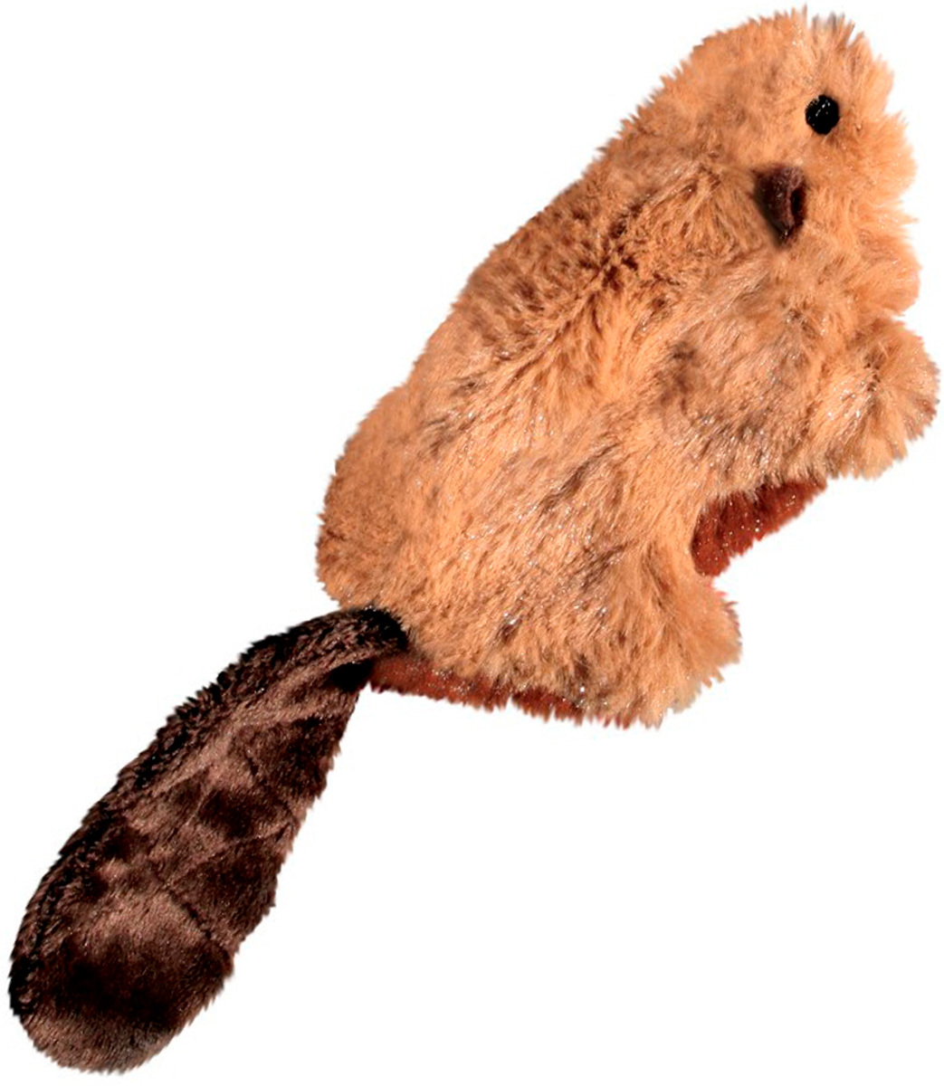 канадский бобр (castor canadensis). речной бобр. бобрята. бобер 15. картинка бобра.