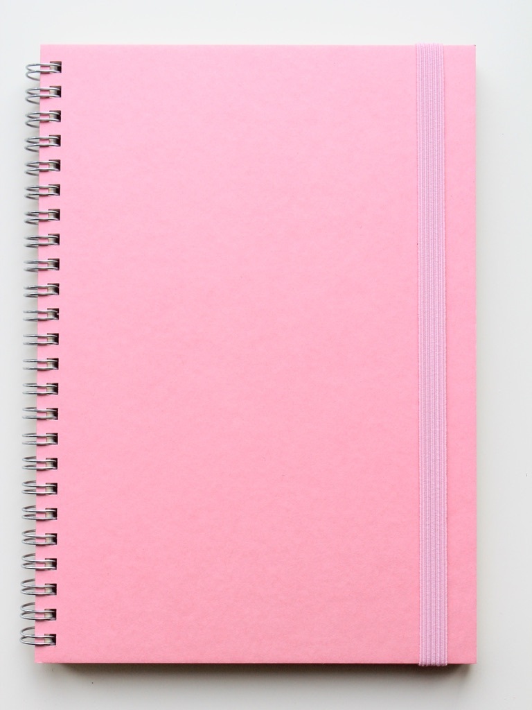 Бумага точка ру. Розовый ежедневник. Блокнот без линовки. Бумага в точку. Блокнот на электронной бумаге.