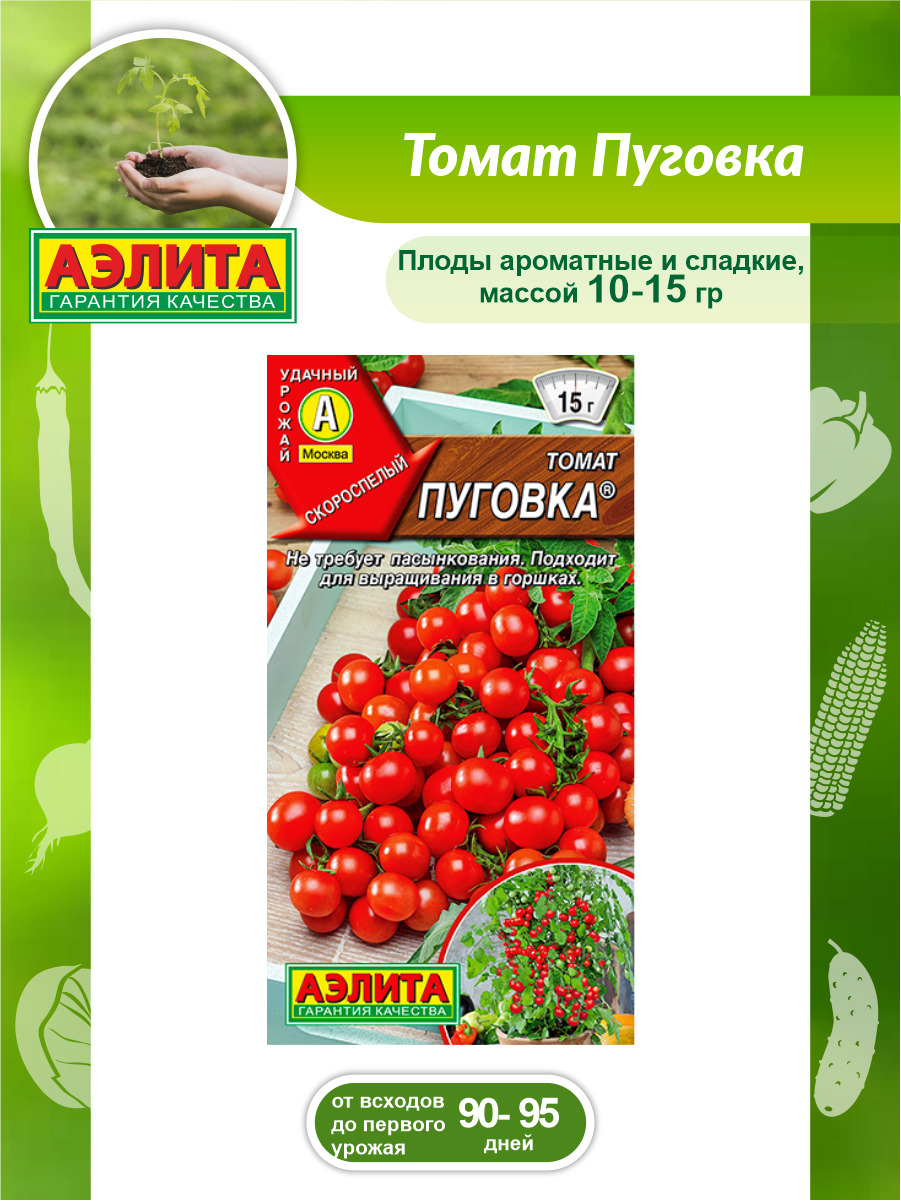 Томат пуговка описание сорта фото. Сорт томата Пуговка. Томат Пуговка семена.