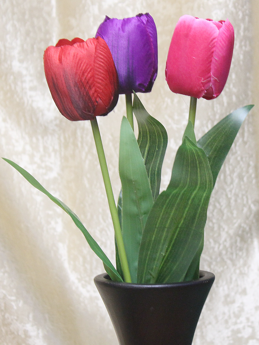 Купить тюльпаны на озоне. Тюльпан Озон. Декоративные тюльпаны. Разновидности тюльпанов. Домашние декоративные тюльпаны.
