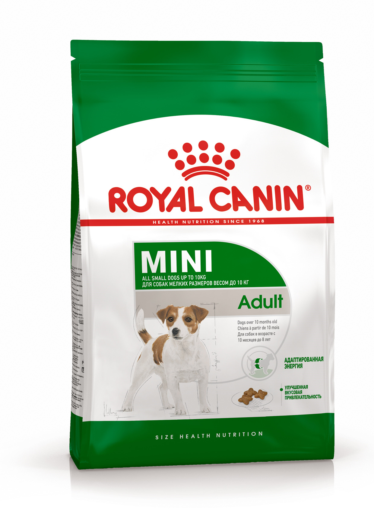 Сухой корм Royal Canin Mini Adult для взрослых собак мелких пород от 10  месяцев, 8 кг. - купить с доставкой по выгодным ценам в интернет-магазине  OZON (535016351)