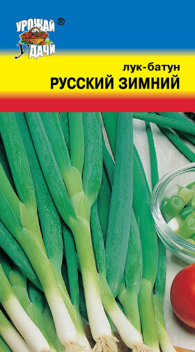 Лук Русский зимний описание характеристики агротехника посадки и выращивания отзывы