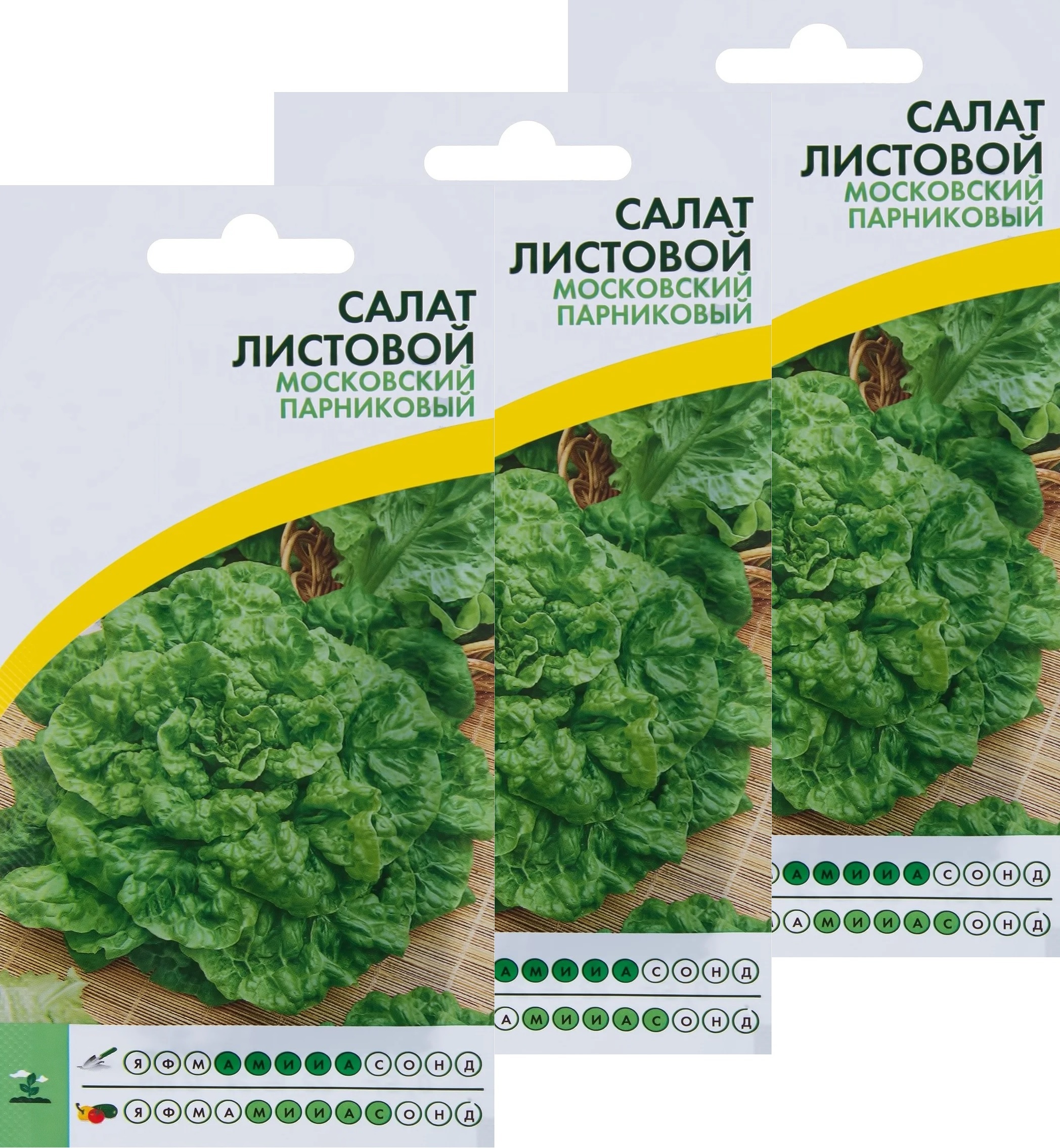 Салат московский парниковый описание. Семена салат Московский парниковый. Салат листовой Московский парниковый. Салат Московский парнико. Семена салата листового.