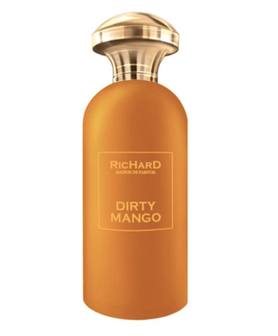 RicHarD Dirty <b>Mango</b> Парфюмерная вода 100 мл.