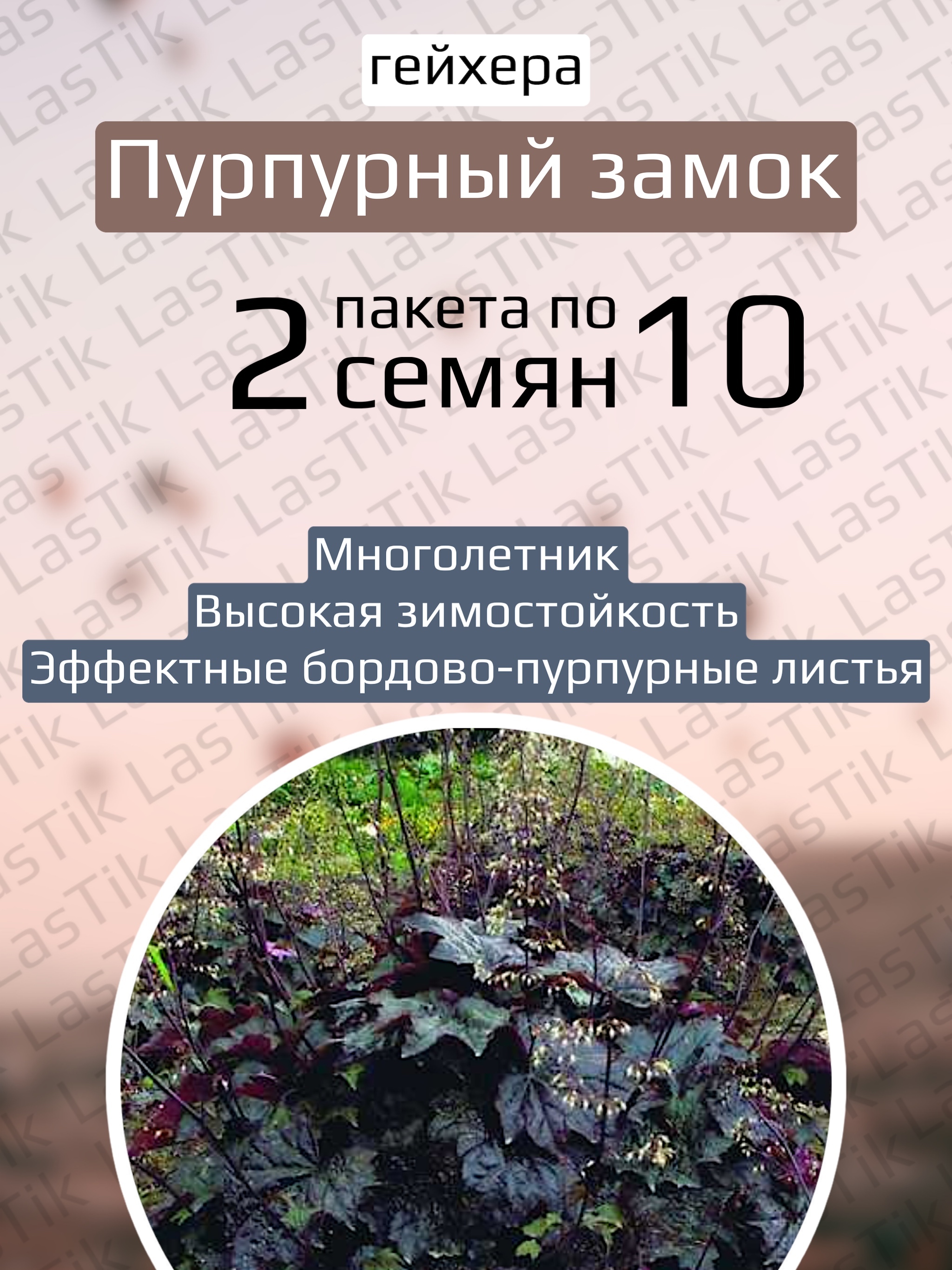 Гейхера Русский огород 72530796 - купить по выгодным ценам в  интернет-магазине OZON (596036680)