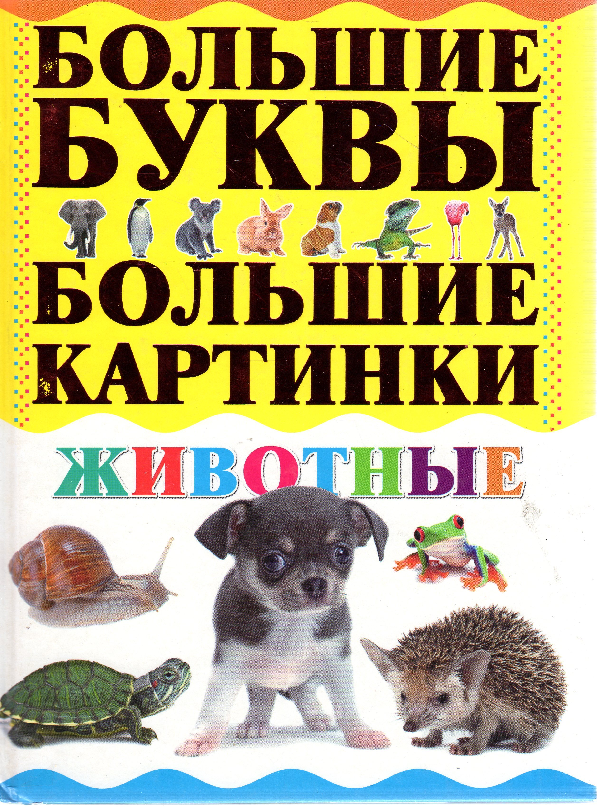 Книги про животных. Серия книг про животных. Питомец книга. Книга АСТ зверь. Картинка АСТ для детей.