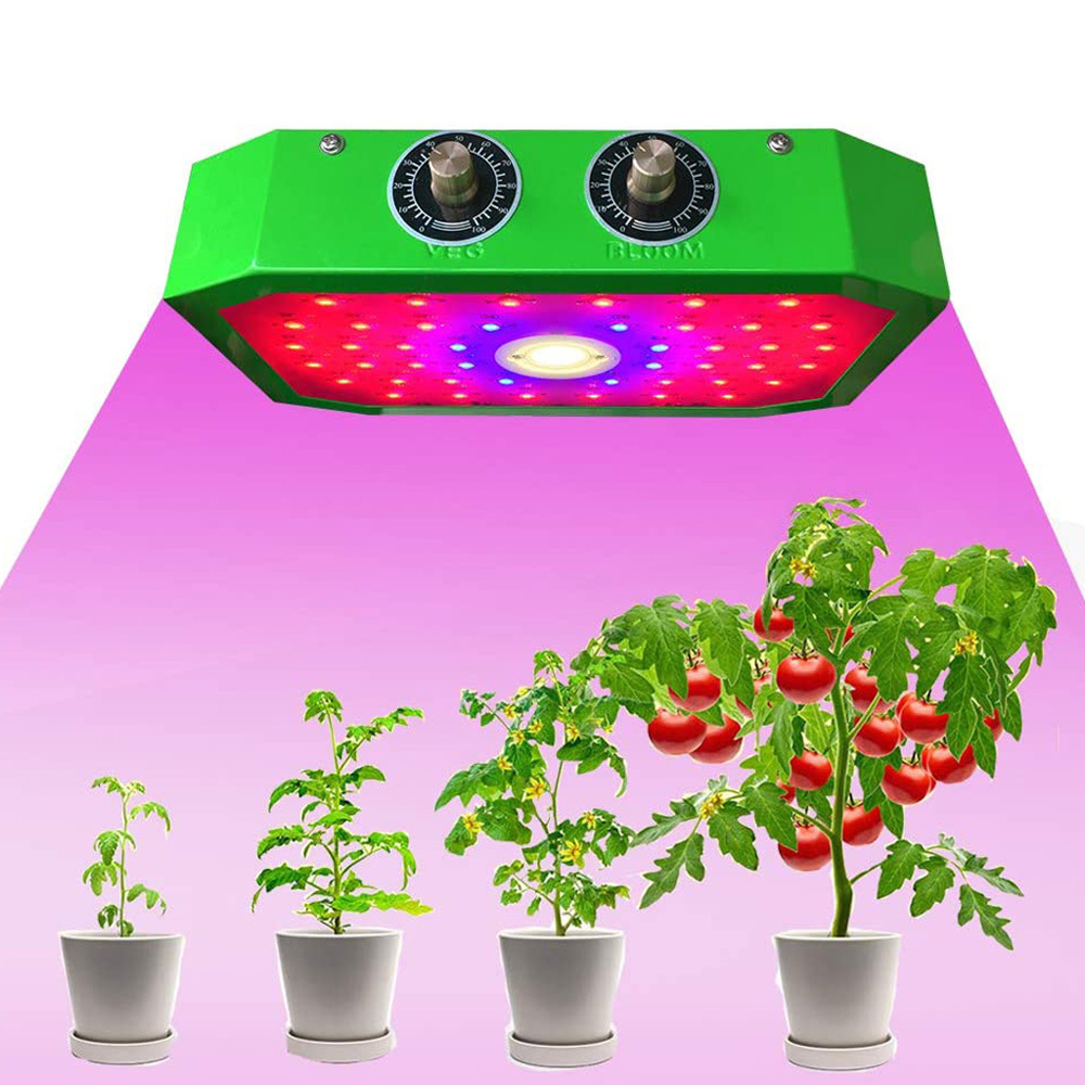 Фито свет полный спектр. Светильник для растений. Светодиодный фитосветильник для растений. Лампа для растений 1000 ватт. Лампа с зеленым спектром для теплиц.